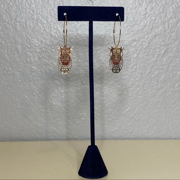 Owl Hoop Dangle Earrings 🦉 - Picture 1 of 5